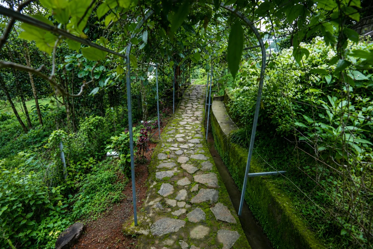 Scenic forest trail leading to Tiger Cave and hanging bridge nearby