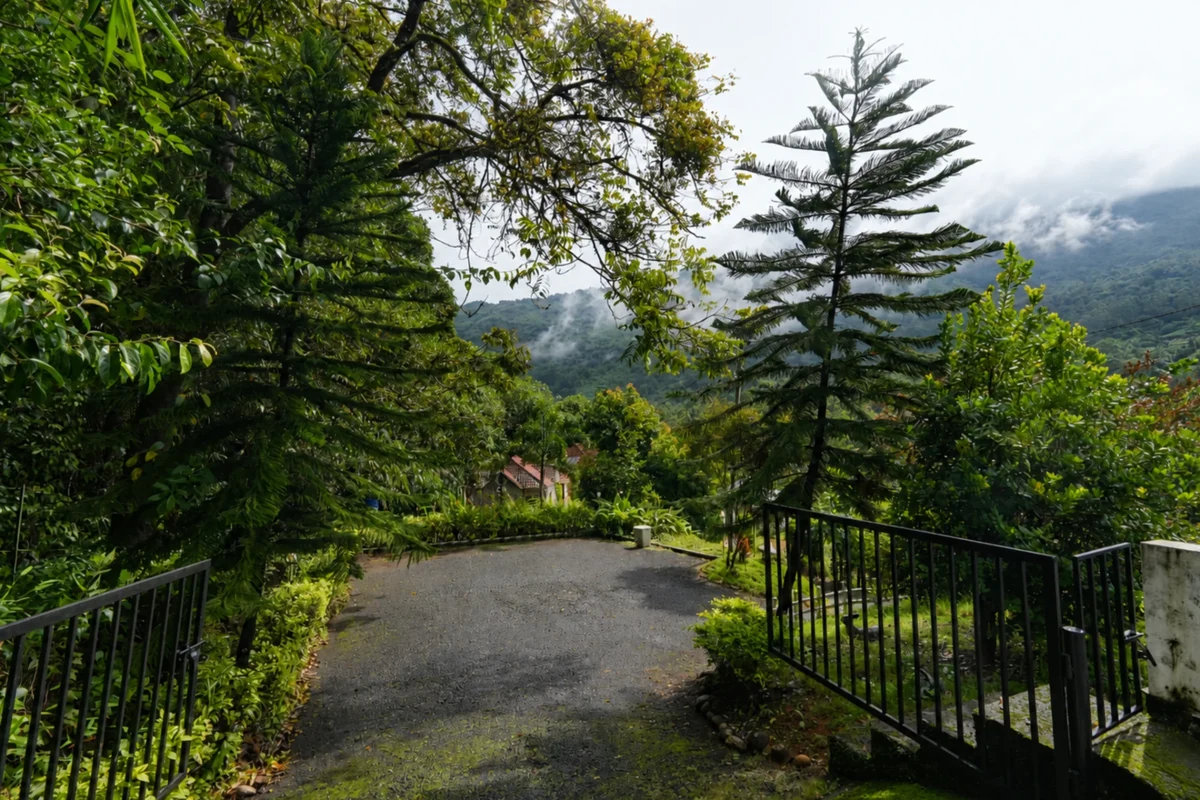 Peaceful garden sit-out surrounded by cardamom and pepper plantations