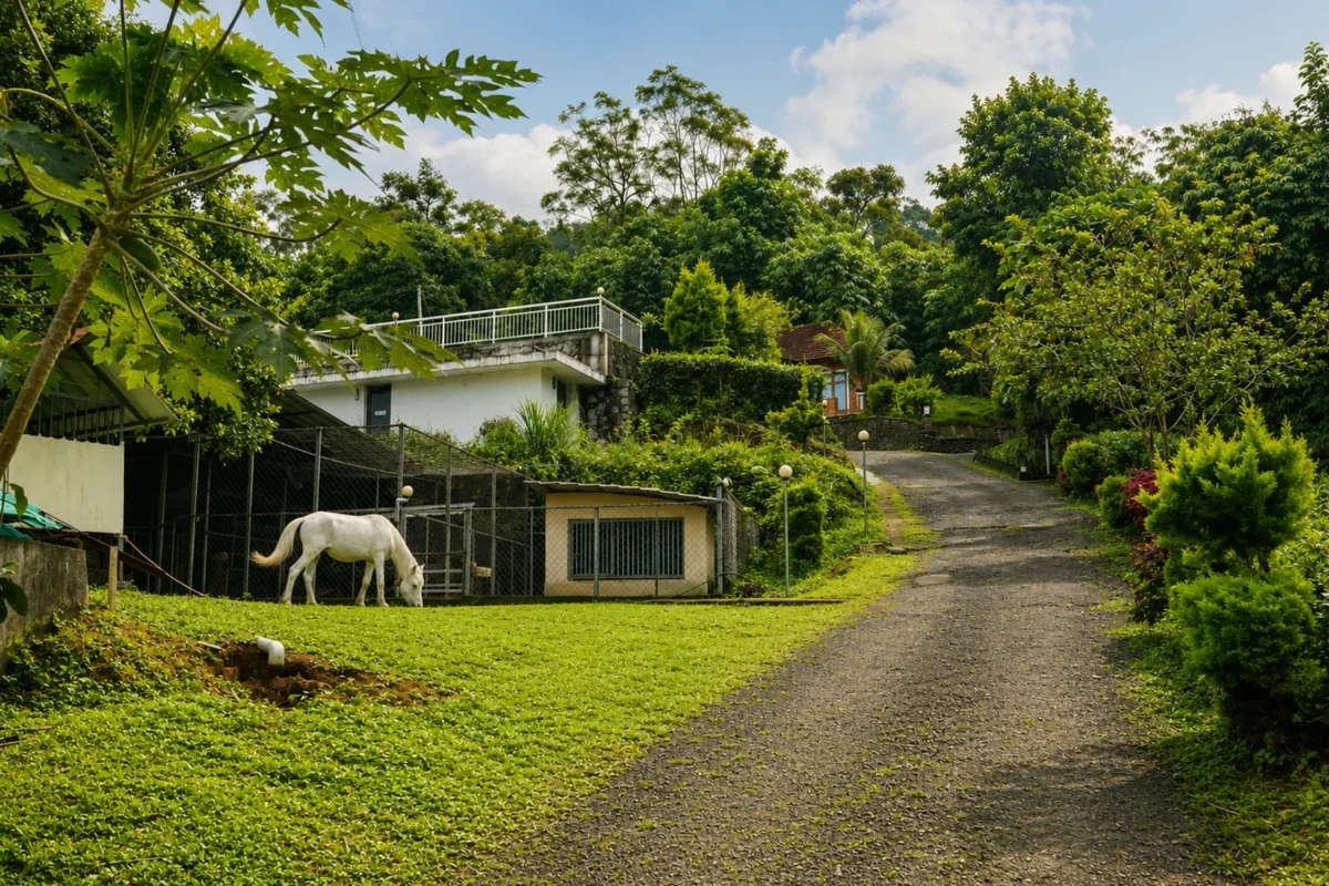 Fresh farm harvest and tropical foliage at Silver Oaks Nature Retreat